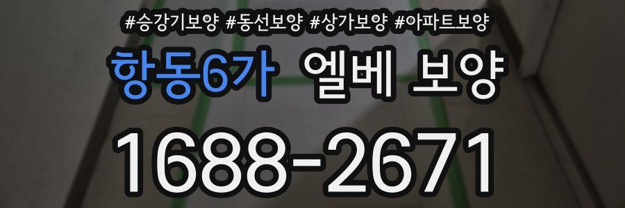 항동6가 엘베 보양