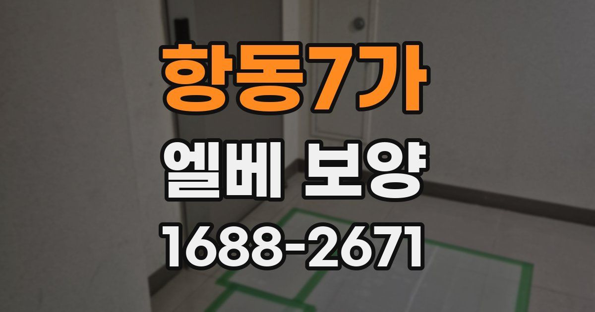 항동7가 엘베 보양