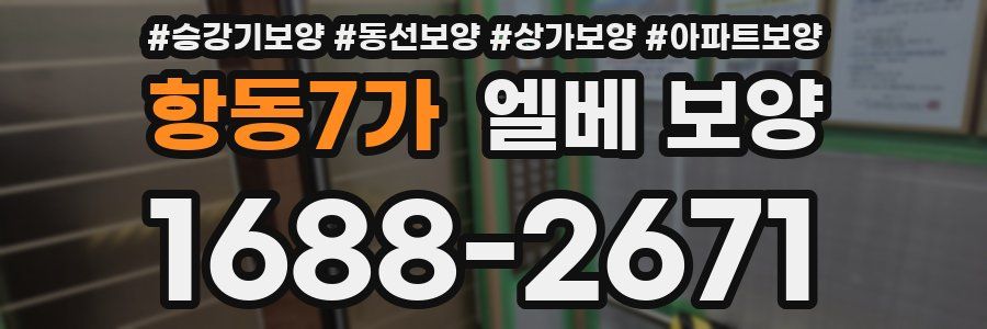 항동7가 엘베 보양