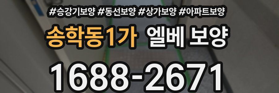 송학동1가 엘베 보양
