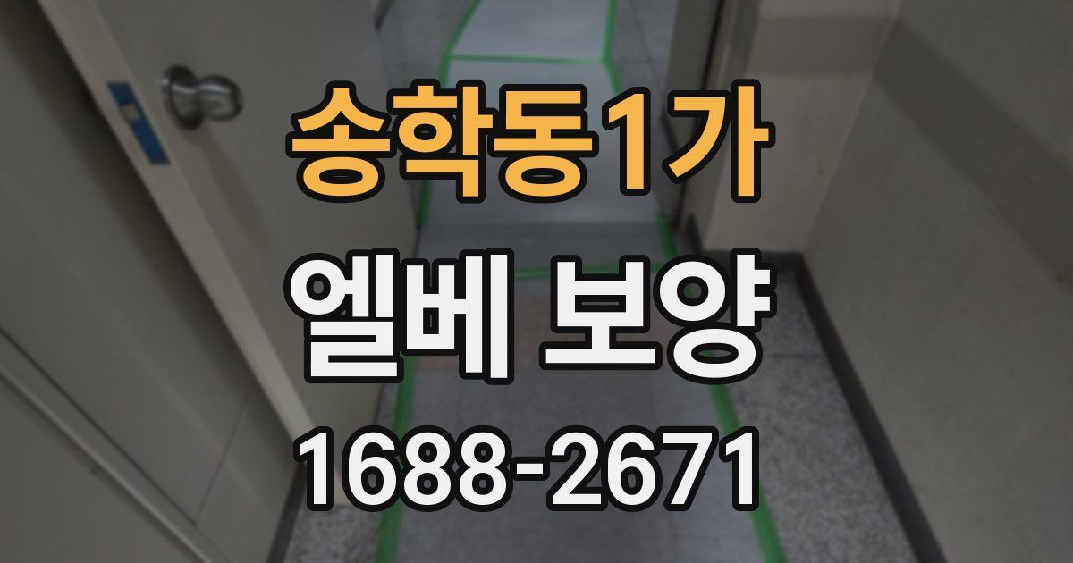 송학동1가 엘베 보양