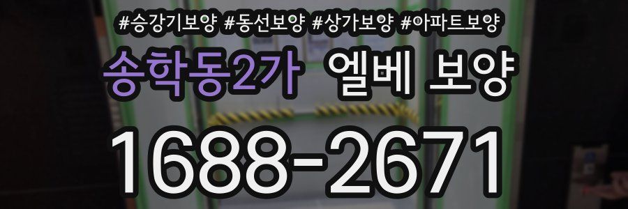 송학동2가 엘베 보양