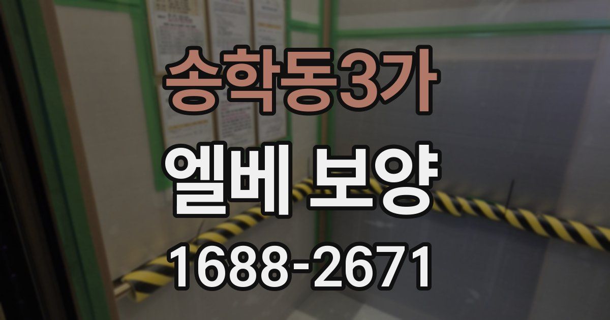 송학동3가 엘베 보양