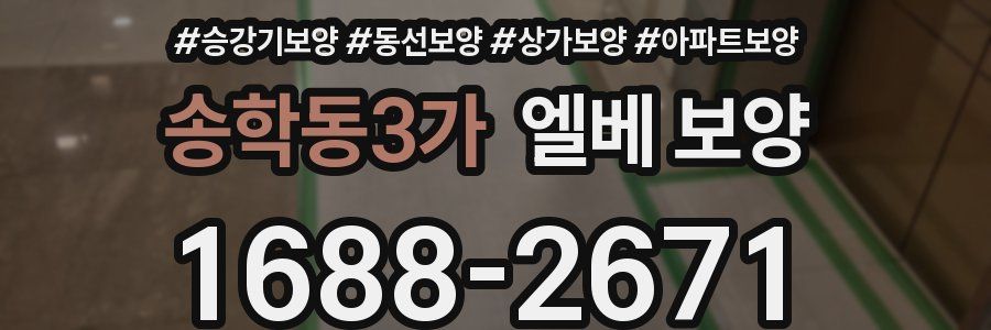 송학동3가 엘베 보양