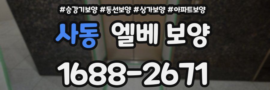 사동 엘베 보양