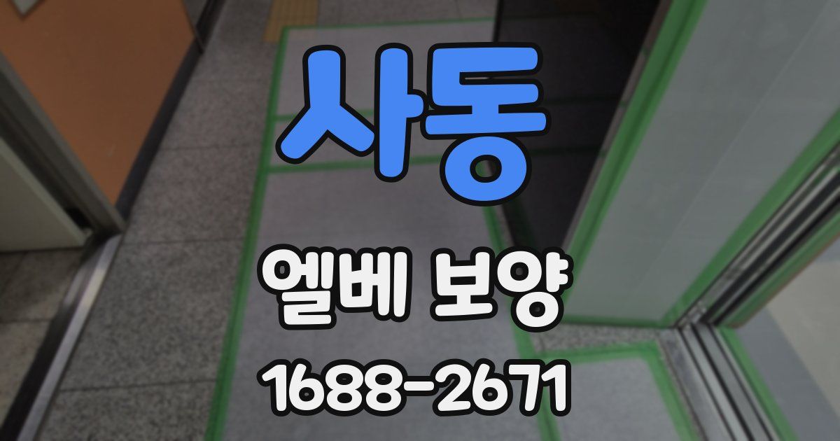 사동 엘베 보양