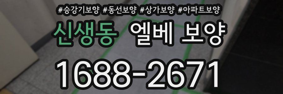 신생동 엘베 보양