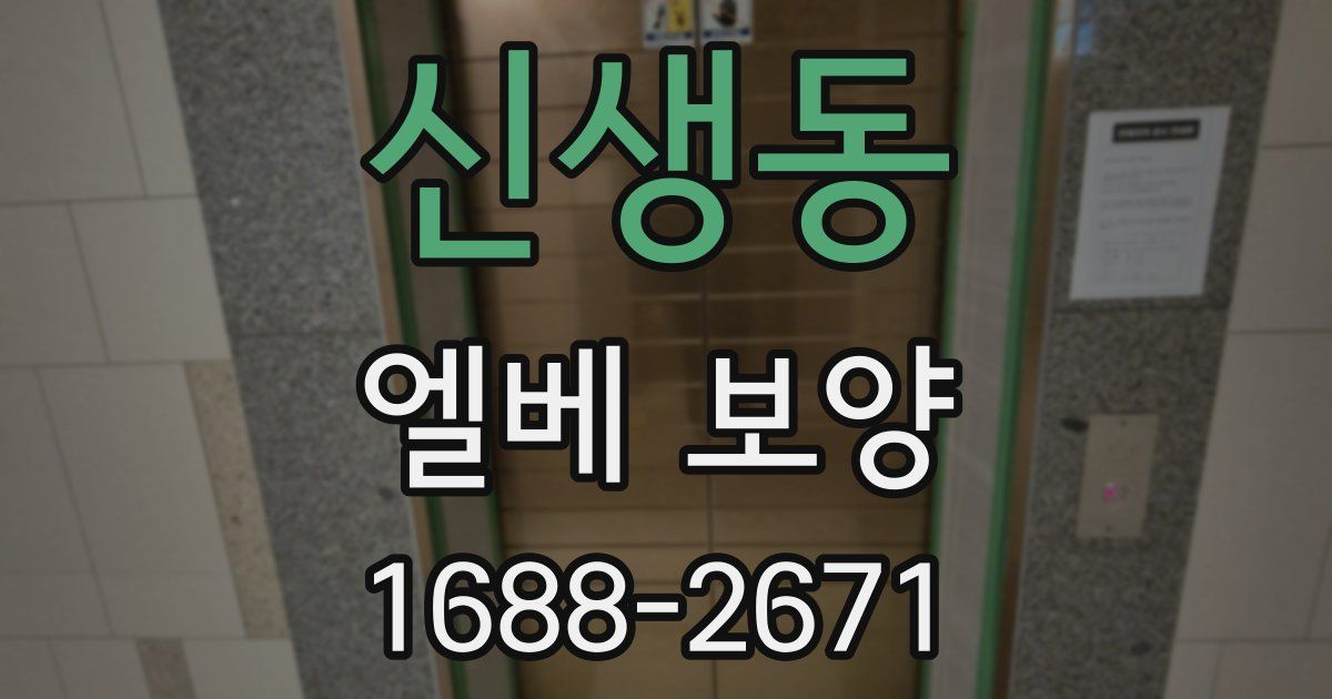 신생동 엘베 보양