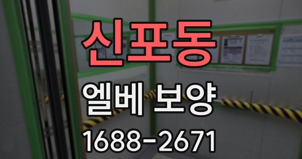 신포동 엘베 보양