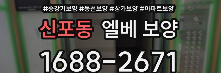 신포동 엘베 보양