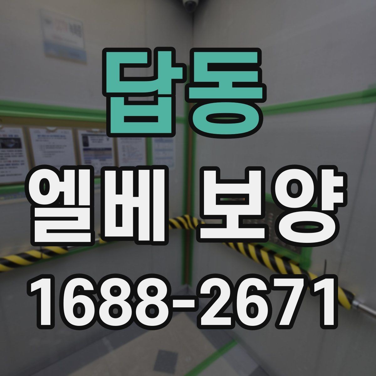 답동 엘베 보양 승강기 내부 마감 손상을 줄이는 순서
