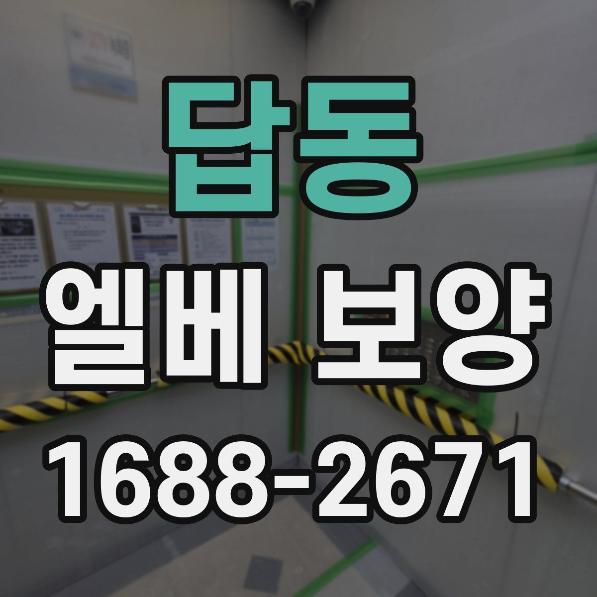 답동 엘베 보양