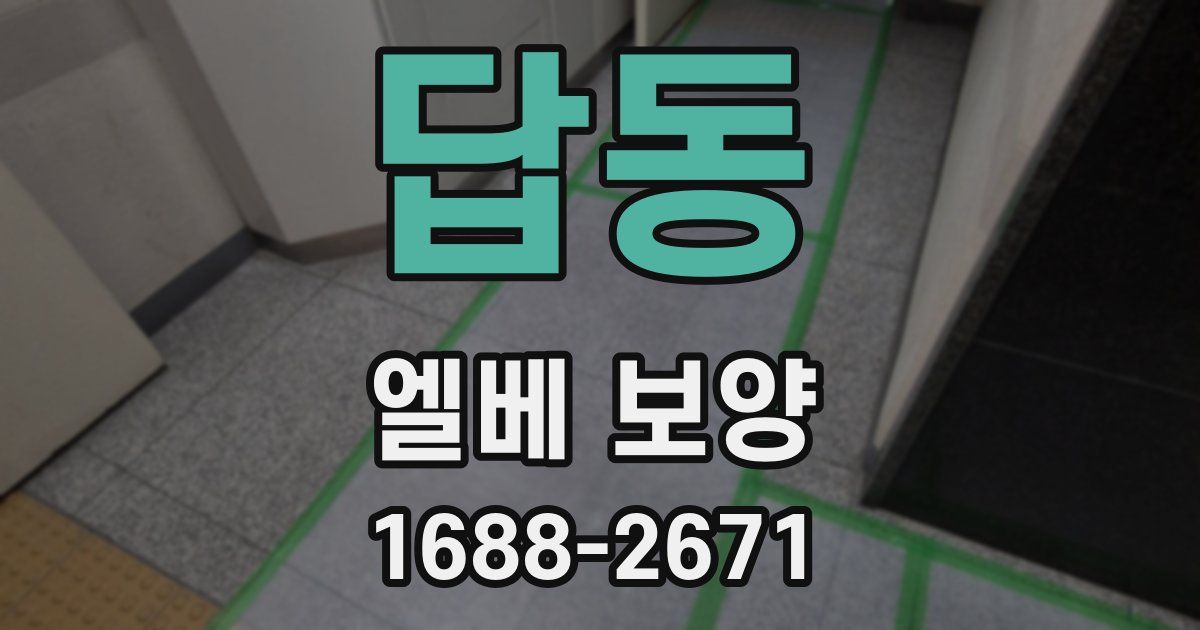 답동 엘베 보양