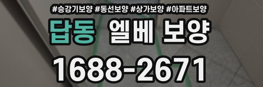답동 엘베 보양