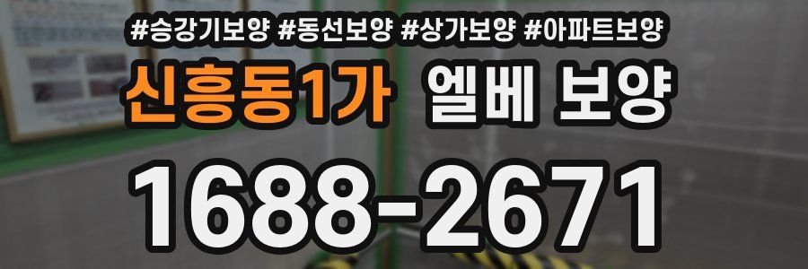 신흥동1가 엘베 보양