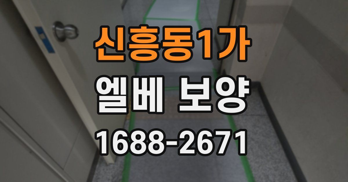 신흥동1가 엘베 보양