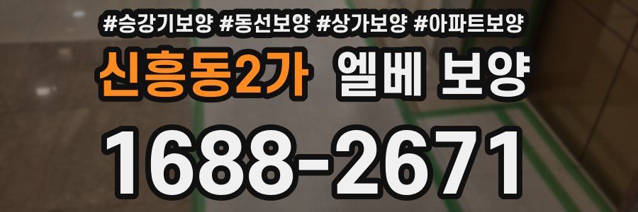 신흥동2가 엘베 보양