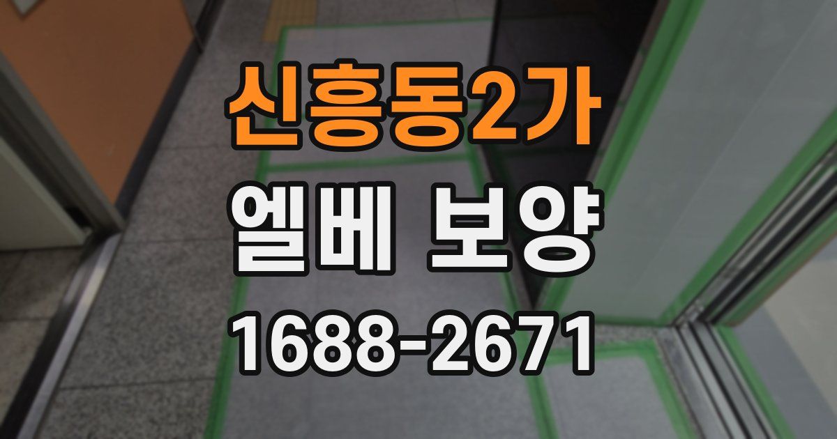 신흥동2가 엘베 보양
