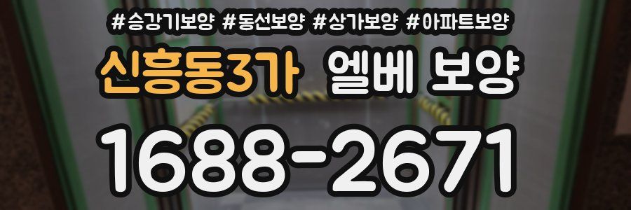 신흥동3가 엘베 보양