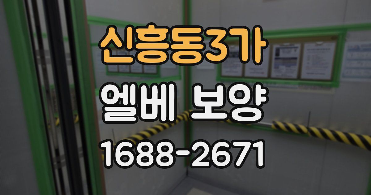 신흥동3가 엘베 보양