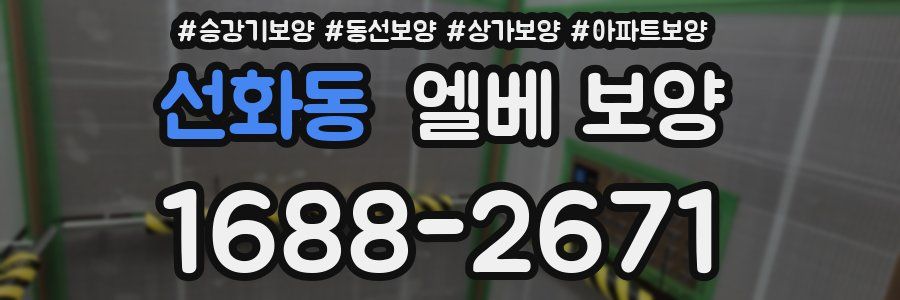 선화동 엘베 보양