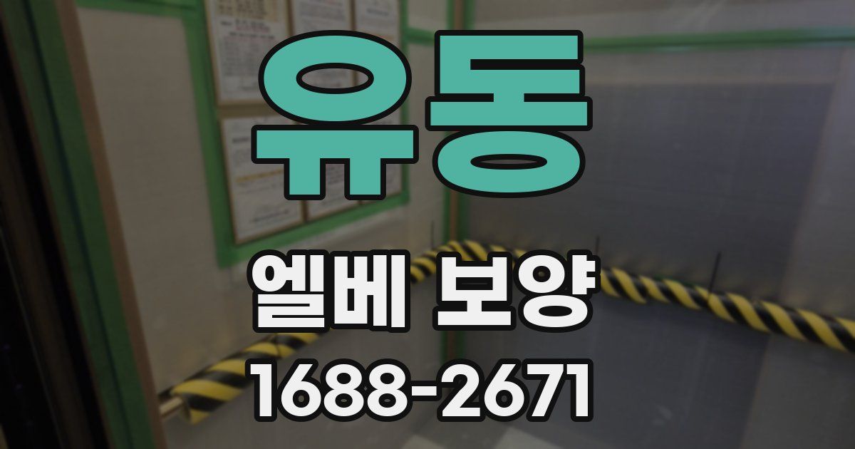 유동 엘베 보양