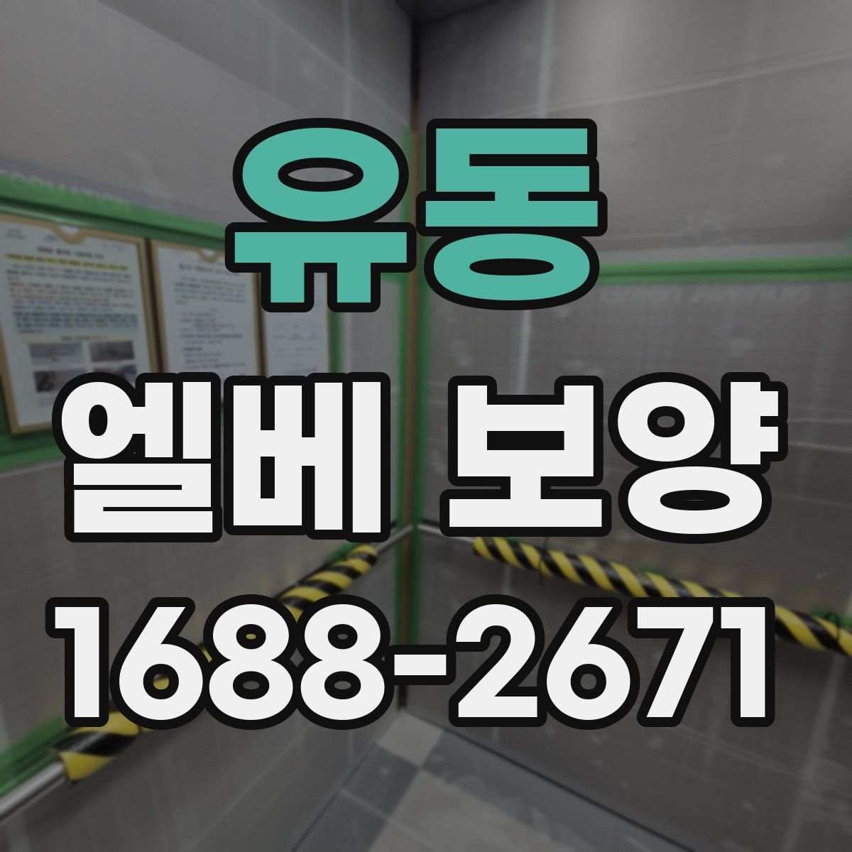 유동 엘베 보양
