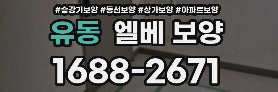 유동 엘베 보양