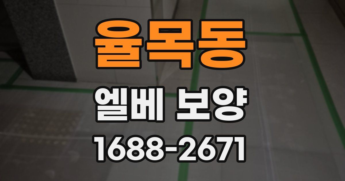 율목동 엘베 보양