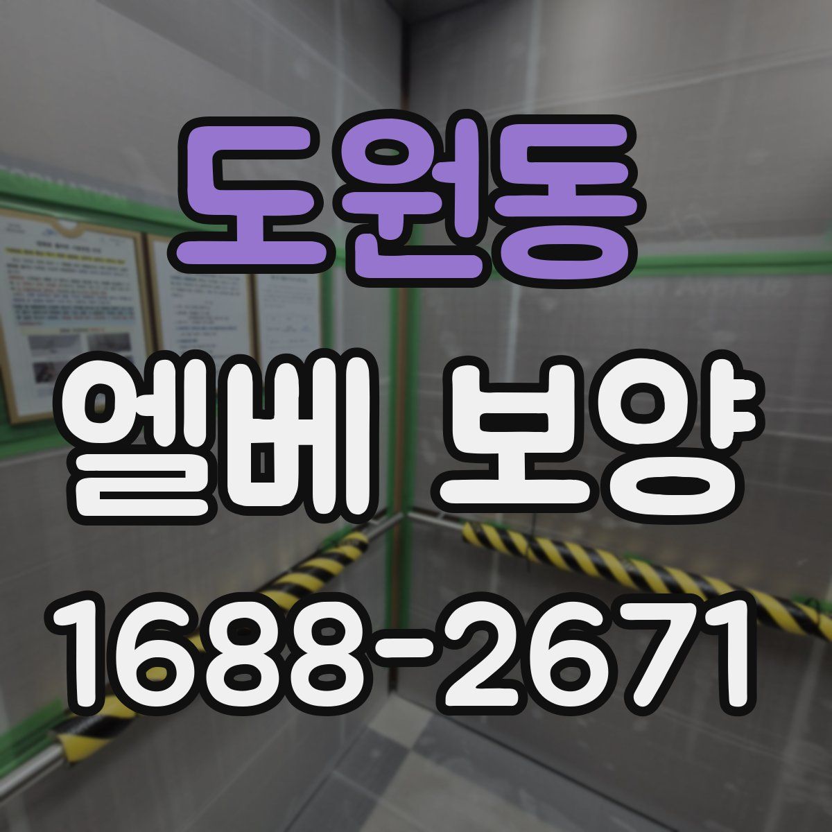 도원동 엘베 보양