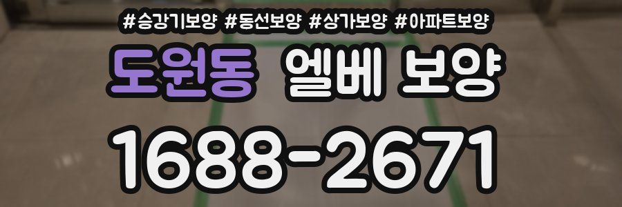 도원동 엘베 보양