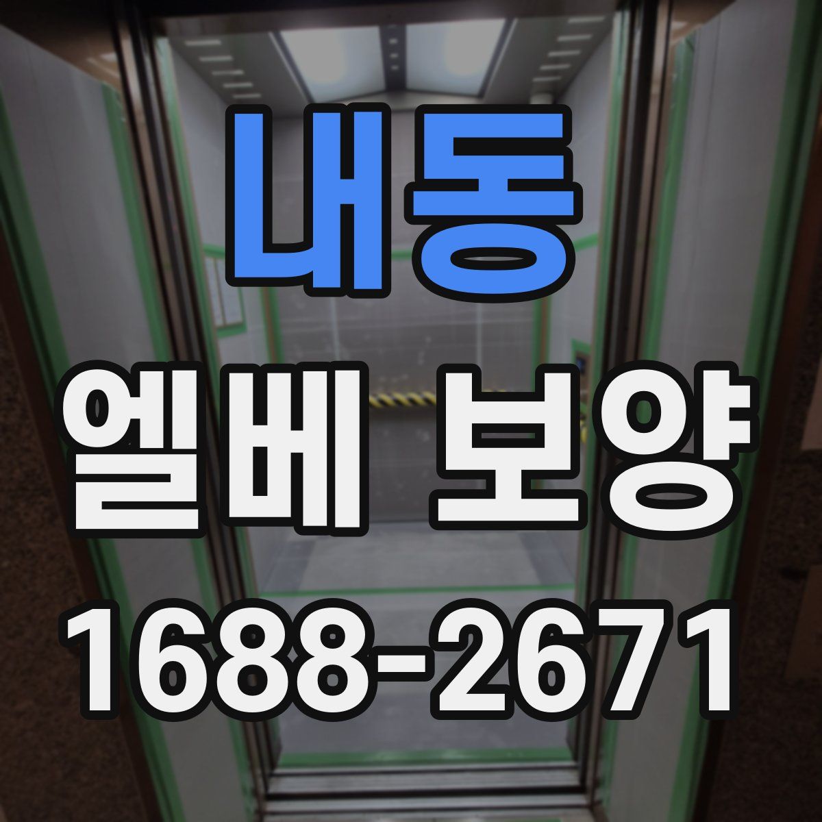 내동 엘베 보양