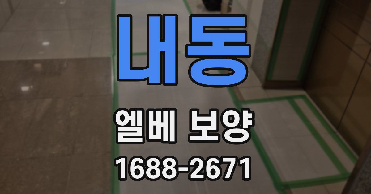 내동 엘베 보양