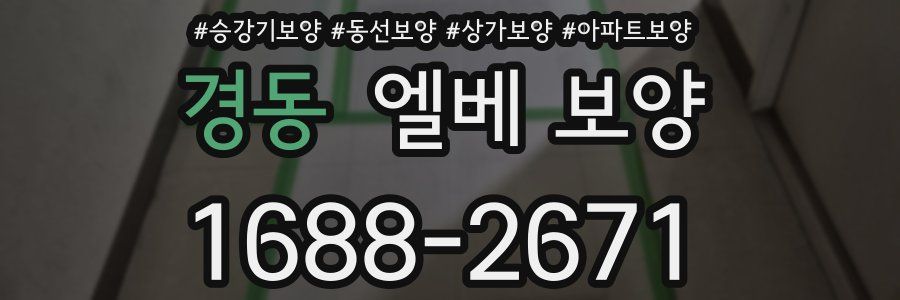 경동 엘베 보양