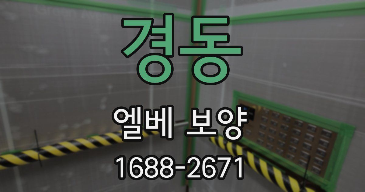 경동 엘베 보양