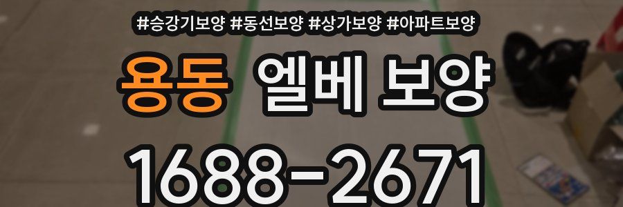 용동 엘베 보양