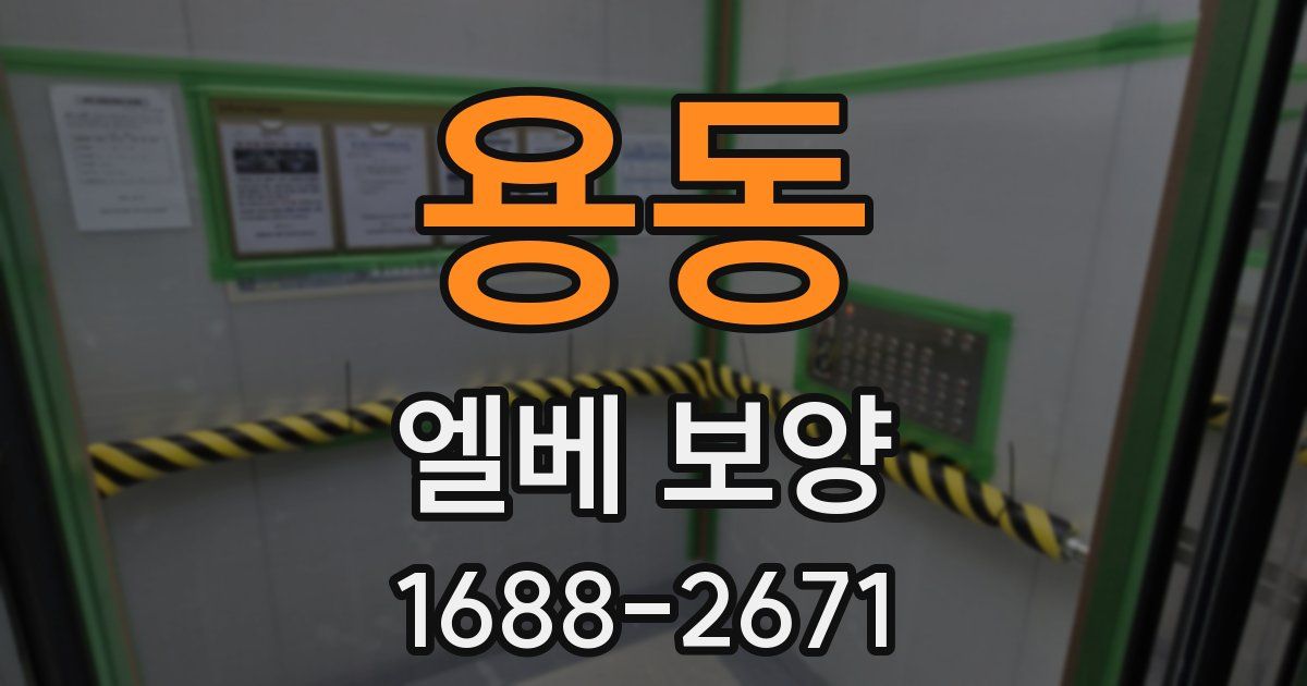 용동 엘베 보양