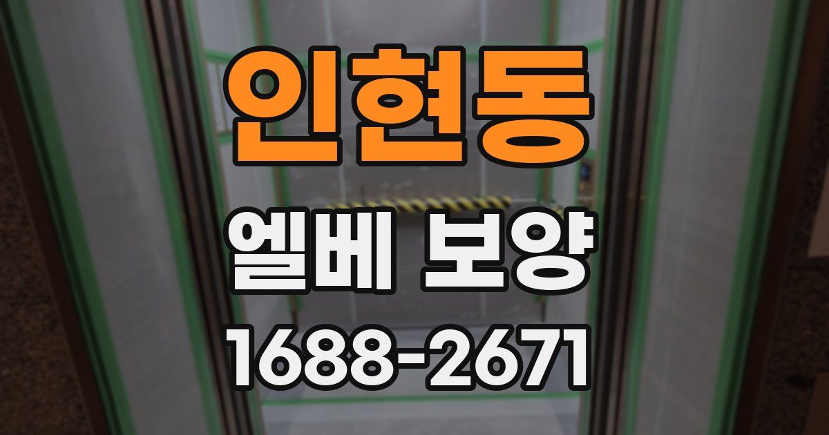 인현동 엘베 보양