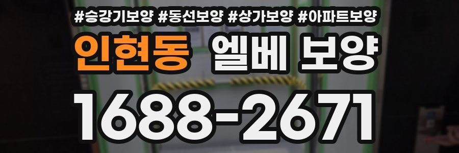 인현동 엘베 보양