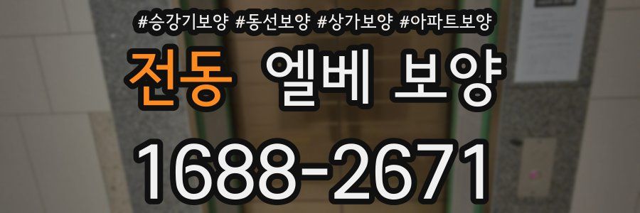 전동 엘베 보양