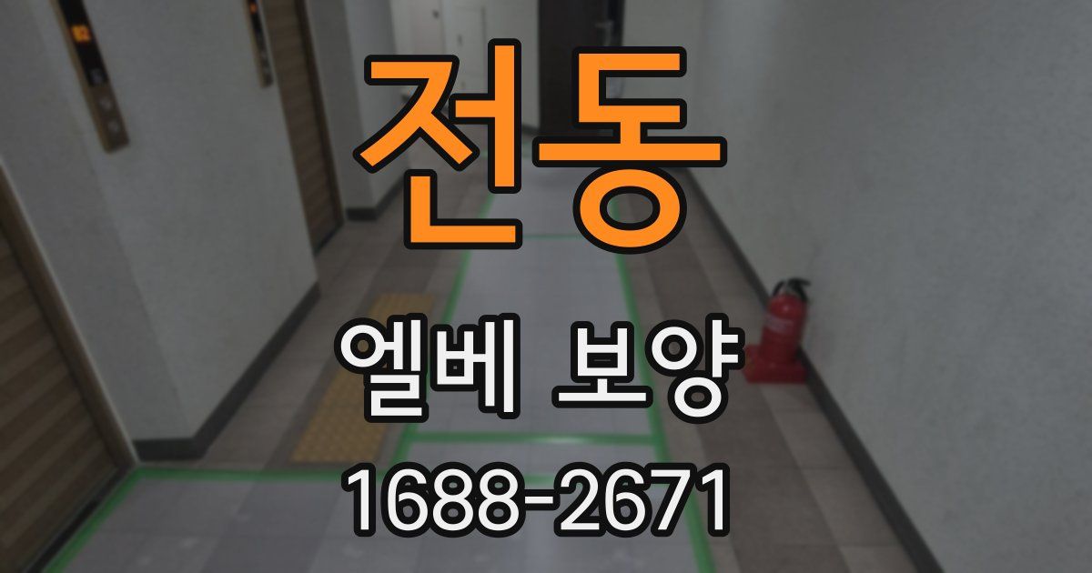 전동 엘베 보양