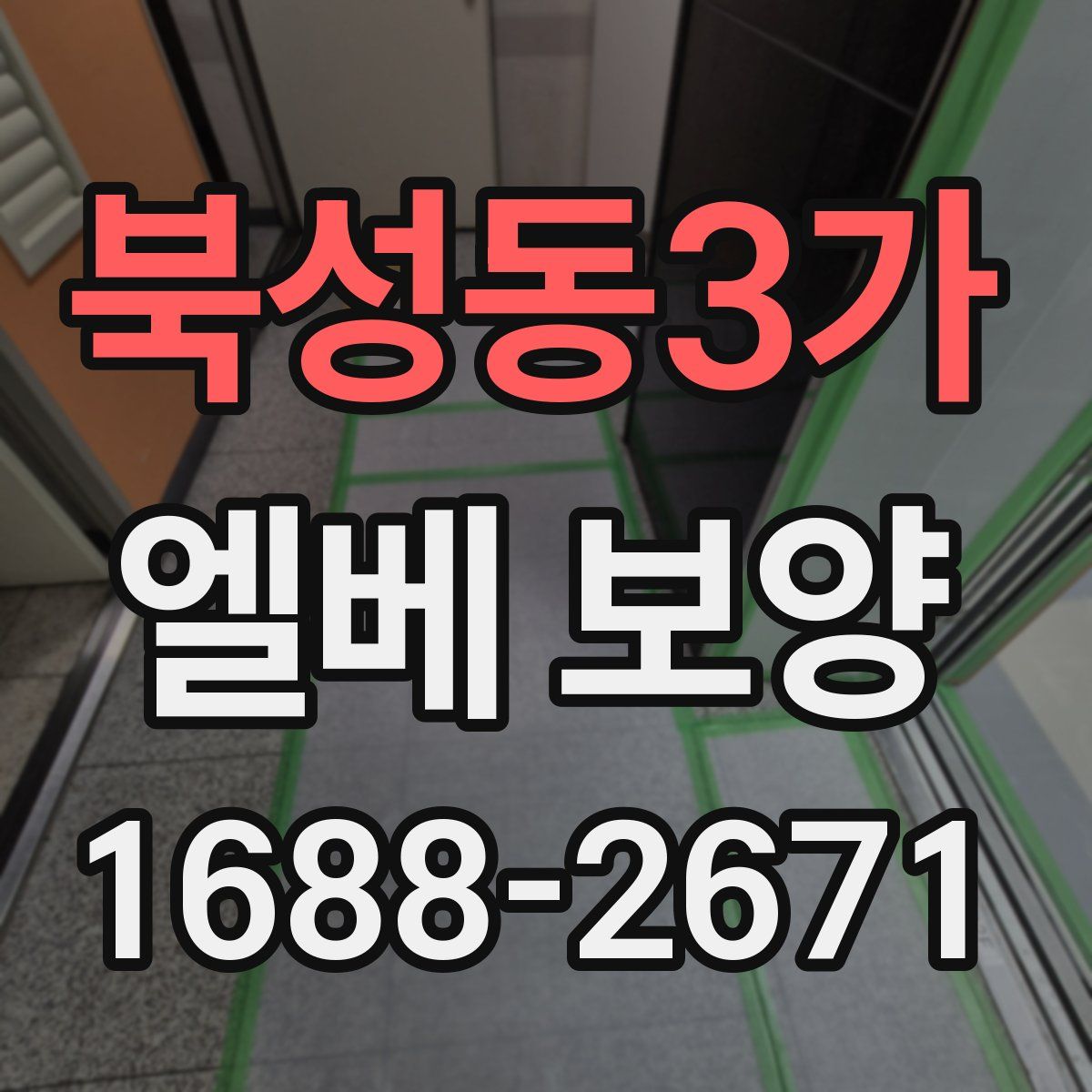 북성동3가 엘베 보양