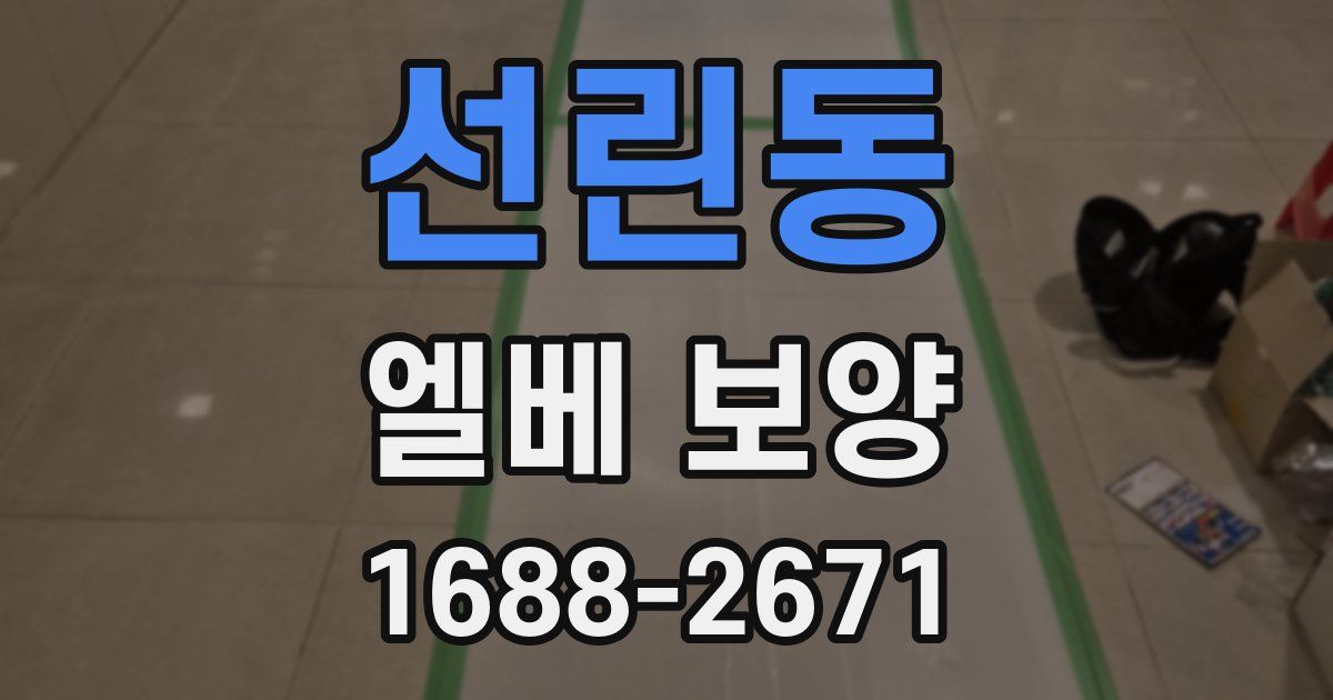 선린동 엘베 보양