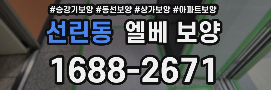 선린동 엘베 보양