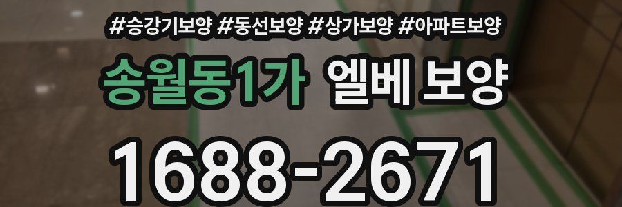 송월동1가 엘베 보양