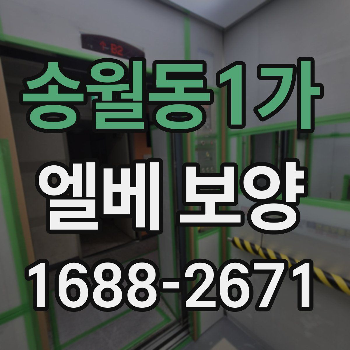 송월동1가 엘베 보양