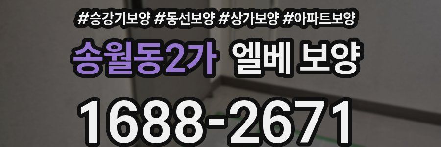 송월동2가 엘베 보양