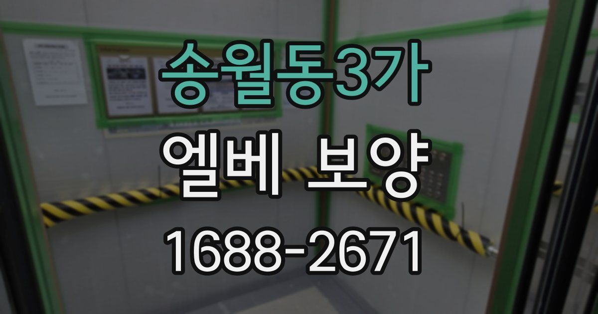 송월동3가 엘베 보양