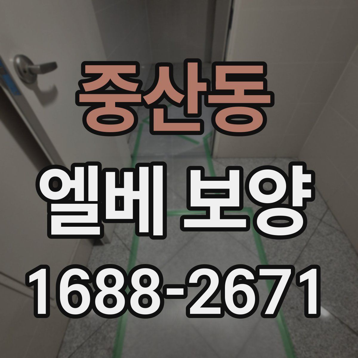 중산동 엘베 보양