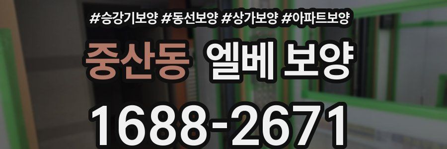 중산동 엘베 보양